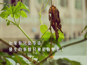 美文